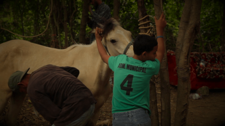 vlcsnap-2014-12-24-09h32m45s101